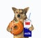 Dog holds orange donut and milk carton