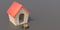Dog house and kibbles bowl on gray background, wooden shelter for pet home. 3d illustration