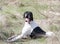 Dog of the hunting breed - pointer lies on rest