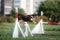 Dog hurdling over a jump at an agility event