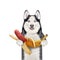 Dog husky with banana sausage