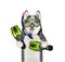 Dog husky diver in swimming mask