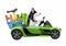Dog husky in green car with food