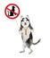 Dog husky holds cat prohibition sign