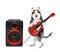 A dog husky plays the electric guitar near a loudspeaker. White background. Isolated