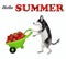 Dog husky pushes wheelbarrow of strawberries