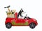 Dog husky in red car with food