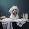 Dog hygiene clean animal cute care grooming breed pets puppy