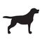 Dog Icon. Labrador Silhouette