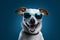 dog isolated portrait goggles pet funny smile sunglasses cute background animal. Generative AI.
