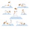 Dog or jack russell terrier doing yoga or asanas as a sport end, outline vector stock illustration with set or collection of poses