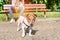 Dog Jack Russell Terrier on a leash looking forward