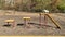 Dog jack russell terrier overcomes obstacles in the dog playground in autumn.