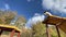 Dog jack russell terrier overcomes obstacles in the dog playground in autumn. Slow motion.