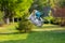 Dog jack russell terrier stained in holi colors jumps on a green lawn.