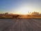 Dog jog roadside ricefield sunrise