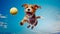 Dog jumping in the air with ball in it\\\'s mouth