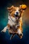 Dog jumping in the air with ball in it\\\'s mouth