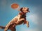 A dog jumping in the air to catch a frisbee. Generative AI image.