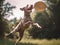 A dog jumping in the air to catch a frisbee. Generative AI image.