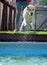 The dog jumps into the pool of water