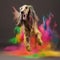 Dog jumps up among the colors of Holi