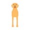 Dog labrador animal pet vector icon front view. Isolated puppy cute cartoon happy friend. Brown standing canine silhouette