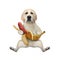 Dog labrador with banana sausage