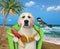 Dog labrador with banana sausage by sea