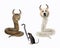 Dog labrador and cat are horned snakes