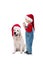 A dog the Labrador and child in Santa Claus`s cap sits and look