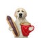 Dog labrador with chocolate eclair and coffee