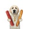 Dog labrador holds dried sausage and bread