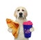 Dog labrador holds puff pastry and coffee