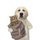 Dog labrador holds sack with kitten 2