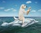 Dog labrador on inflatable dolphin in sea