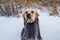 Dog. A Labrador retriever. Funny purebred dog in a scarf. Pets