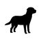 Dog labrador silhouette. Black white icon. Vector illustration.