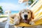 Dog Laid-Back Golden Retriever Unwinding on Vacation on the beach. Generative AI