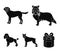 Dog, laika, beagle and other web icon in black style.Poodle, animal, ears icons in set collection.