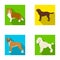 Dog, laika, beagle and other web icon in flat style.Poodle, animal, ears icons in set collection.