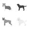 Dog, laika, beagle and other web icon in monochrome style.Poodle, animal, ears icons in set collection.