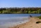 A dog by the lake is waiting for its owner.