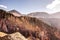 Dog in a landscape - Iruya, Salta, Argentina