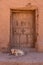 A dog laying in front of a closed door of a berber house