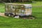 Dog laying next to a rusting horse trailer