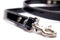 Dog Lead Horizontal