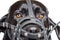 A dog in a leather muzzle. Portrait of a black Labrador retriever in ammunition. Isolate