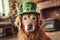 dog with leprechaun hat decorated with shamrock leaves