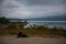 a dog lies on the shore of the Shaor reservoir